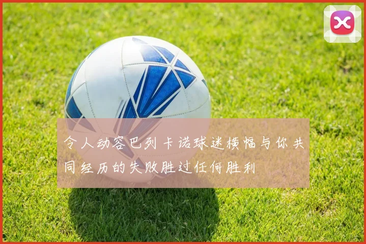 令人动容巴列卡诺球迷横幅与你共同经历的失败胜过任何胜利